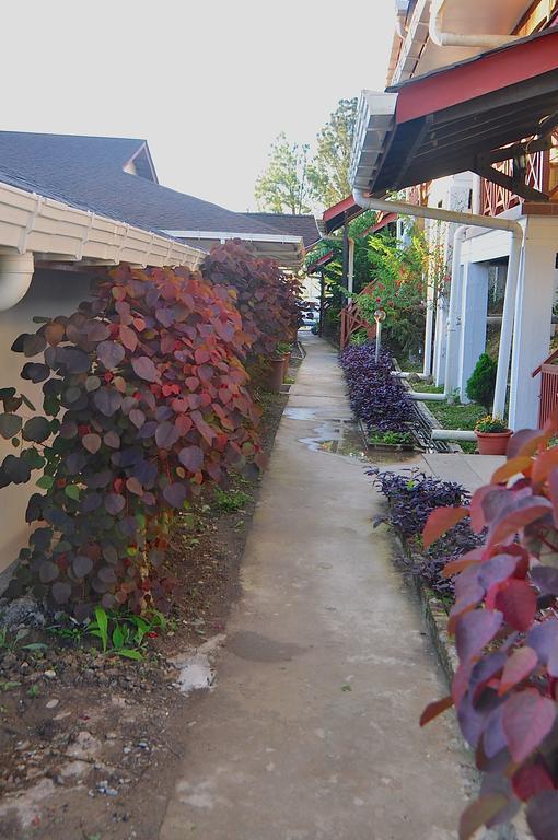 Nabalu Kundasang Villa Exterior photo